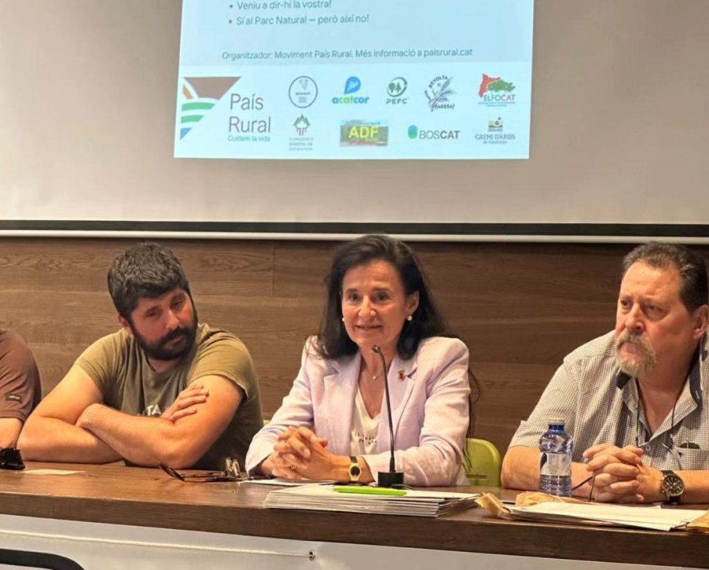 L'alcaldessa Meritxell Cardona intervenint a l'acte.