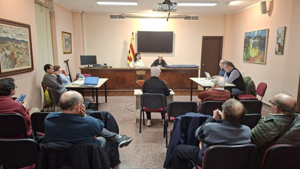 Una imatge de la sessió plenària.