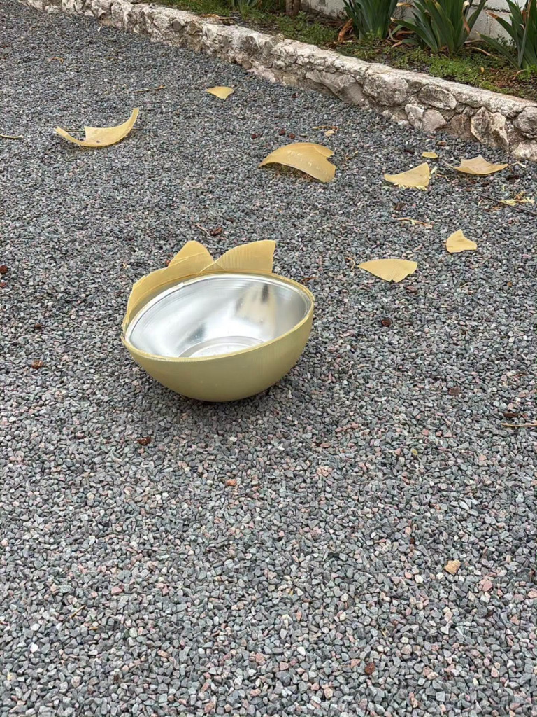 Imatge dels desperfectes provocats pel vandalisme